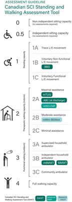 Convergent validity and responsiveness of The Standing and Walking Assessment Tool (SWAT) among individuals with non-traumatic spinal cord injury